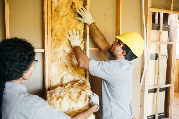 Best Attic Insulation Installation  in Greenup, IL